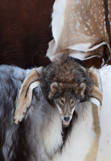 Raising awareness and combating poaching