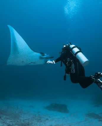 Scientific expeditions
