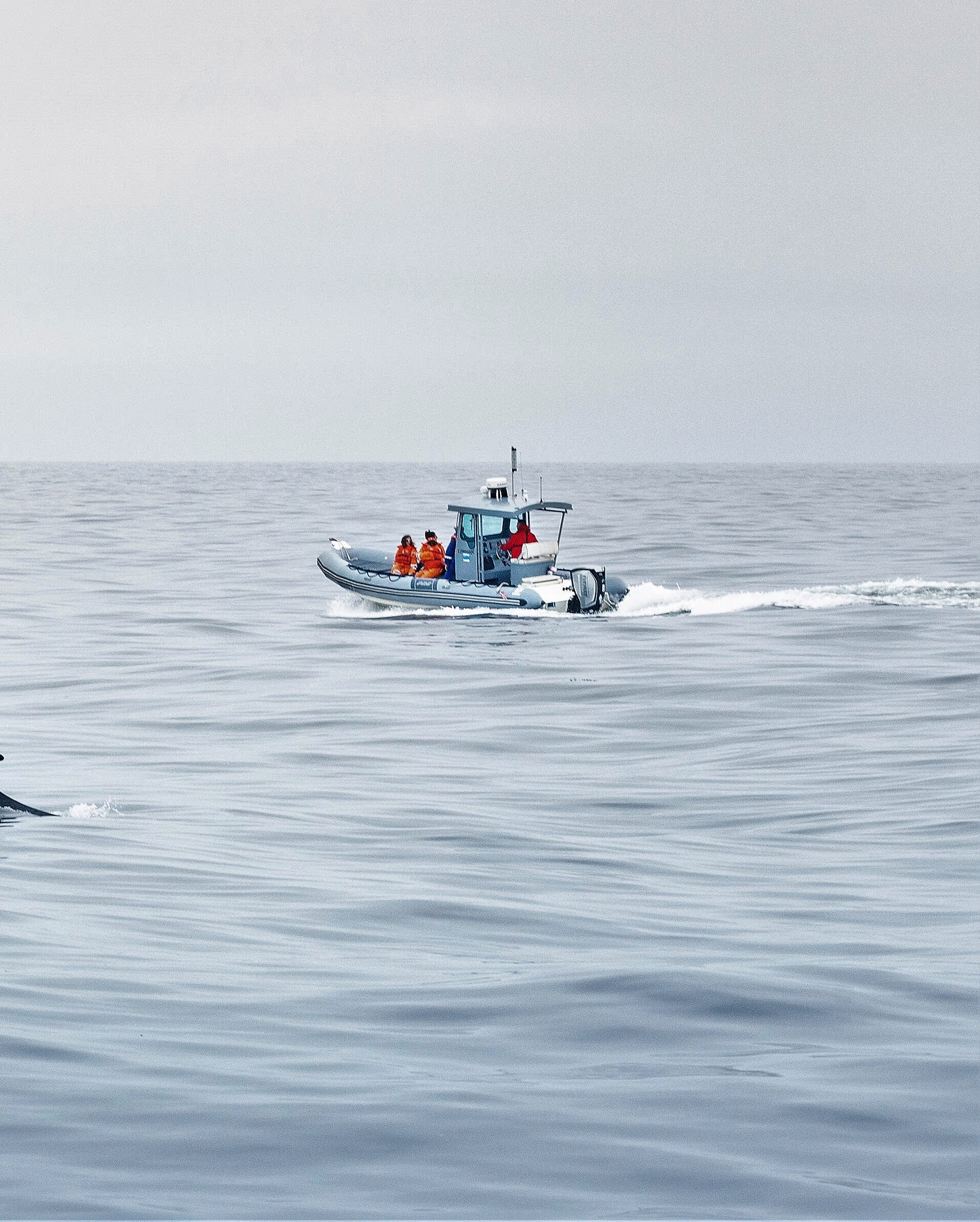 Études en mer