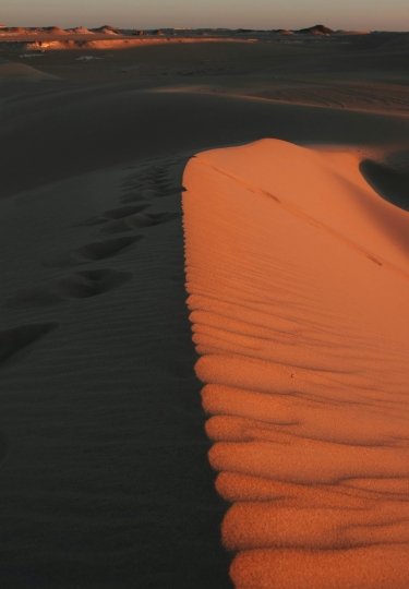 Agapara City Guide - Escape to the Dune du Pilat & Pyne T36, embroidery in motion